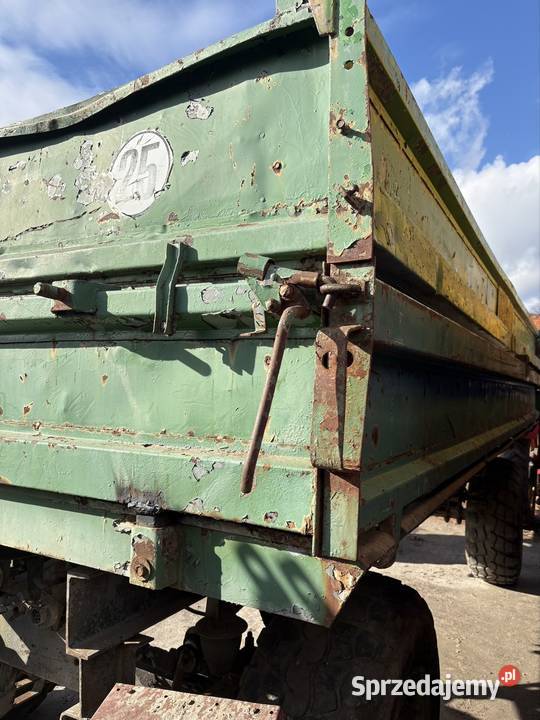 Przyczepa hl 8011 nieuszkodzony Kotlin sprzedam