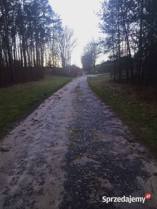 Sprzedam Działki CHYCINA nowe osiedle 12 działek 670m2 Nieruchomości lubuskie Międzyrzecz
