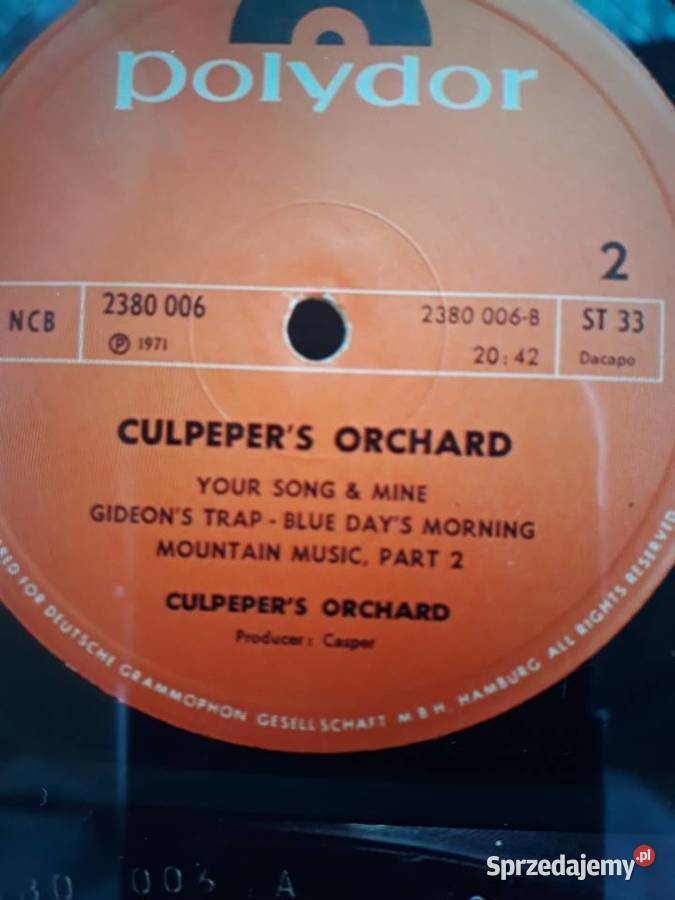 Perełka kolekcjonerska Prog Rocka CULPEPERS Rzeszów