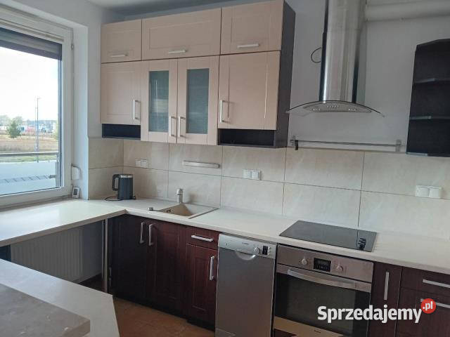 Ogłoszenie mieszkanie Parzniew 56m2 2 pokoje