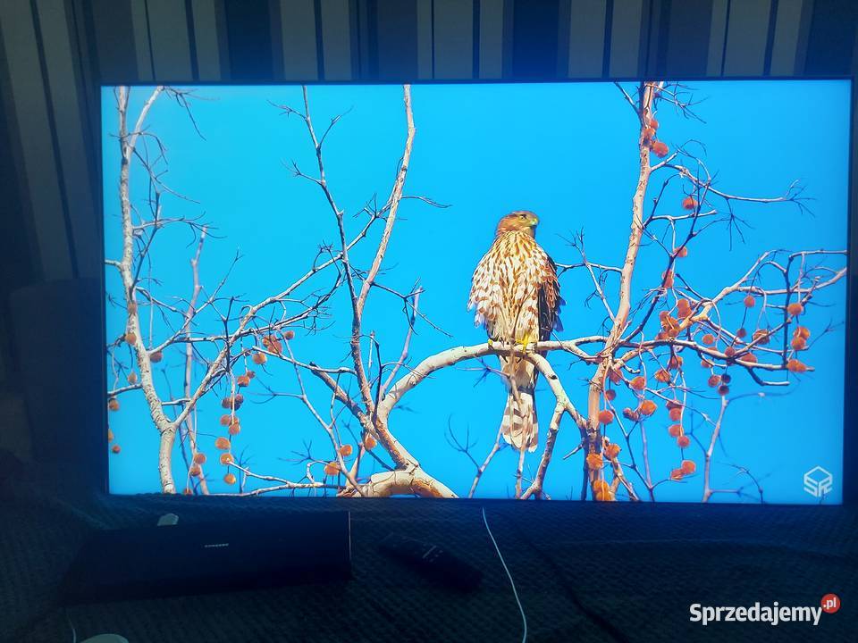TV SAMSUNG QLED QE55Q7FGM4K UHD DVBT2hevc WiFi zachodniopomorskie Połczyn-Zdrój