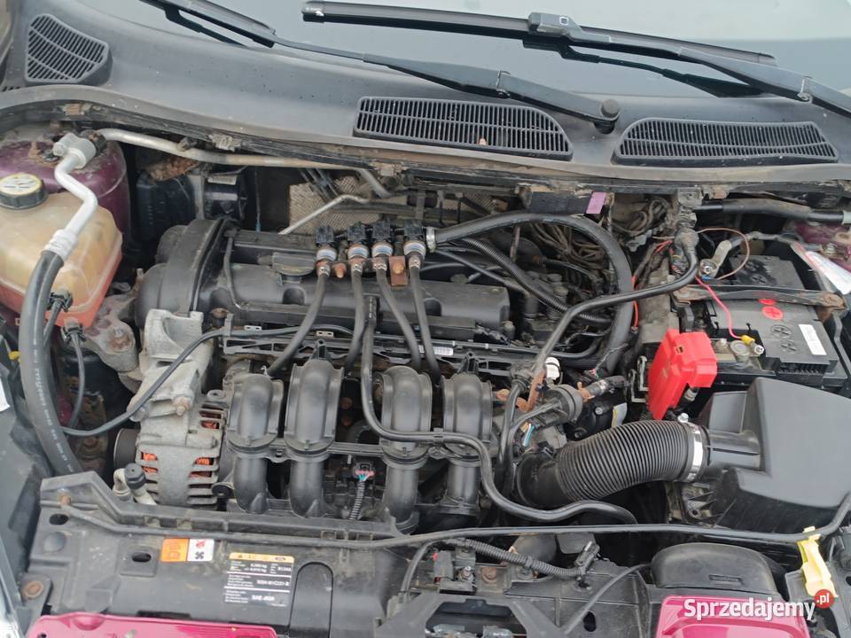 Ford Fiesta 2008 Fiesta dolnośląskie