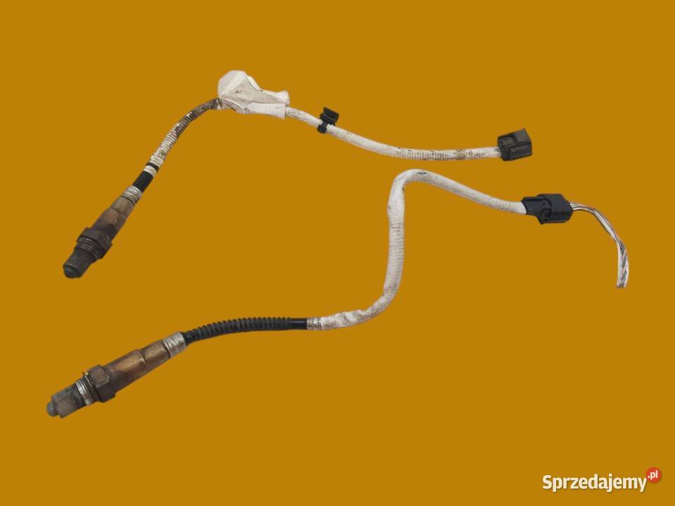 SONDA LAMBDA KPL 2 4 PIN 8200437489 0258006990 świętokrzyskie sprzedam