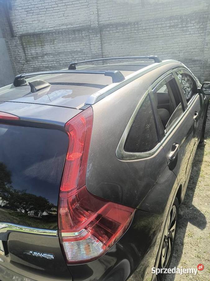Belki dachowe CRV kujawsko-pomorskie Włocławek