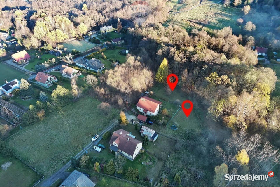 Działka budowlana lesie