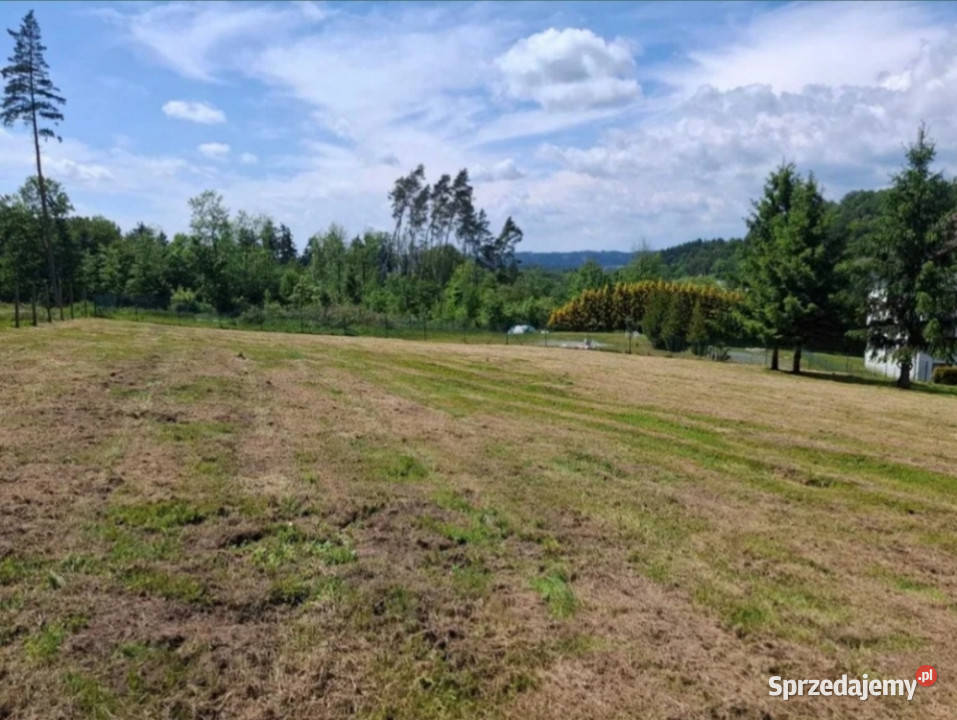 WIELORODZINNA działka Kudowa Zdrój pod 3200m2 dolnośląskie Kudowa-Zdrój