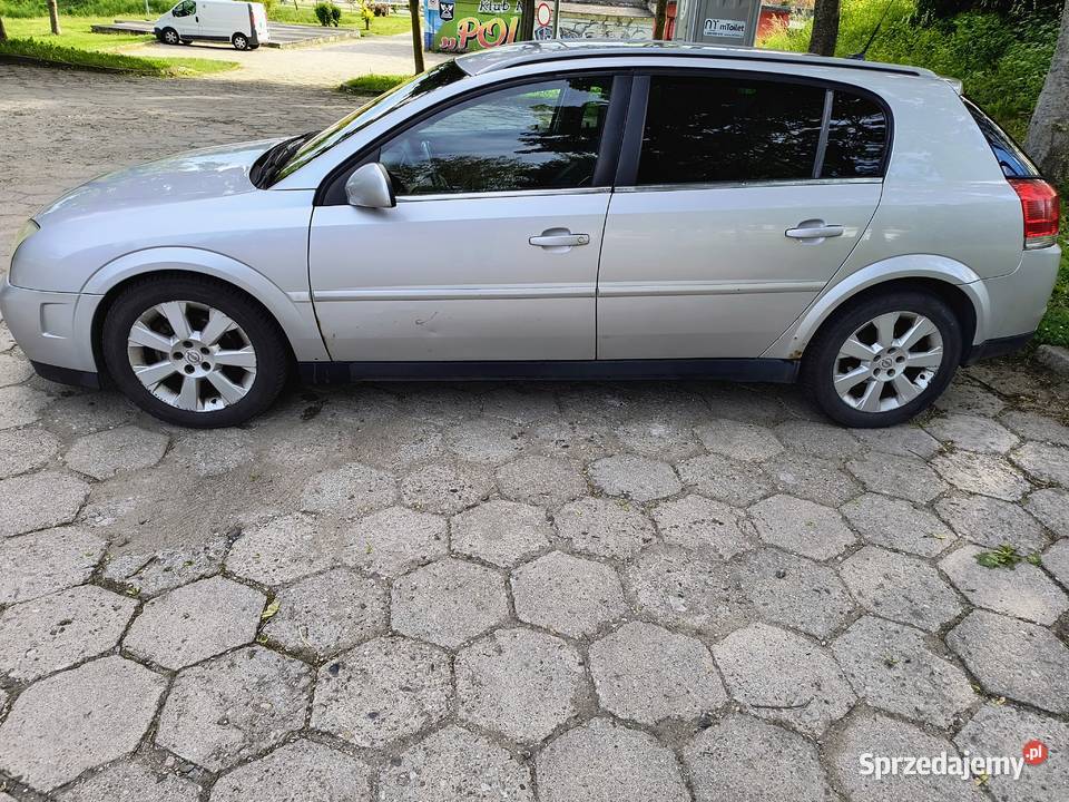 Opel Signum 19 CDTI 2004r warmińsko-mazurskie