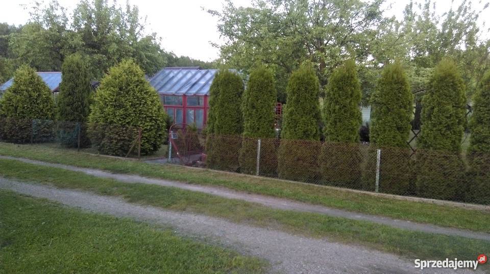 SPRZEDAM DZIAŁKĘ REKREACYJNĄ Czarna Białostocka