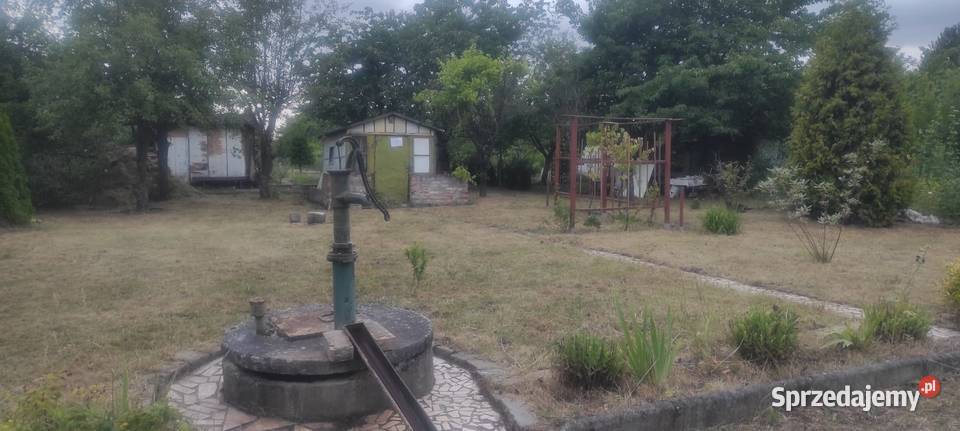 Ogródek działkowy ROD Jedność Wrocław