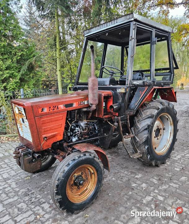 Władimirec LEDA T25 96r Zarejestrowany