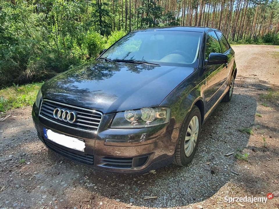 Audi a3 19tdi 105 305000km
