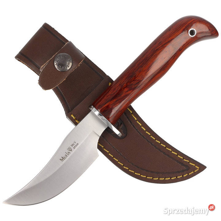Nóż Muela Coral Wood Satin X50CrMoV15 DP10R Warszawa sprzedam