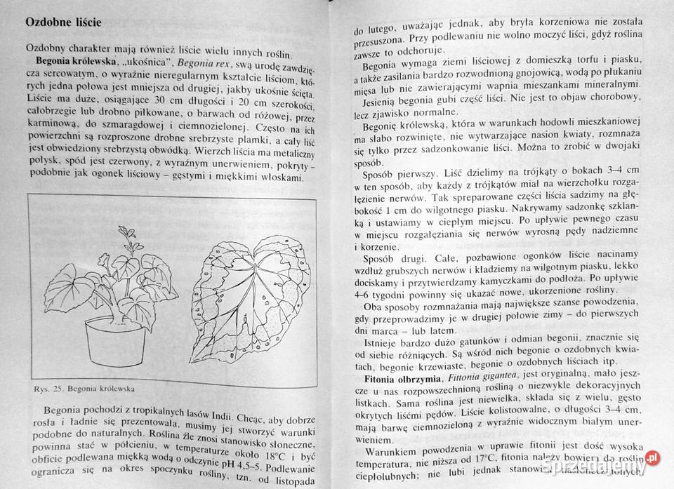 Nastolatki hodują rośliny i zwierzęta Mirosław miękka Chełm sprzedam