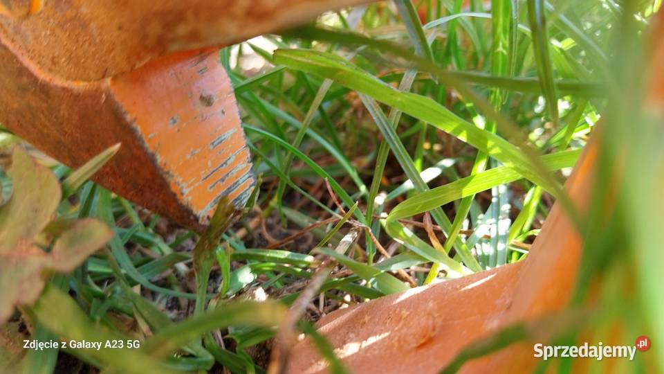 Siewnik AMAZONE D8 Special 3000 do zboża 3m śląskie Przymiłowice