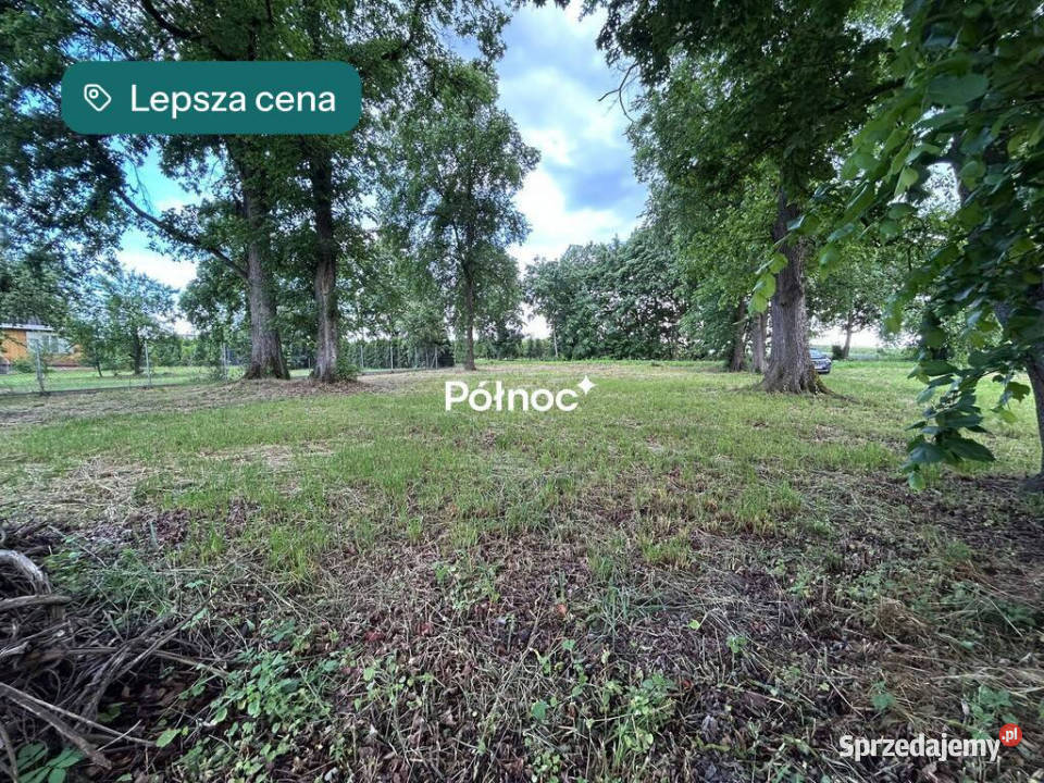 Nowe Hołowczyce 2 działki pod zabudowę i 2 leśne