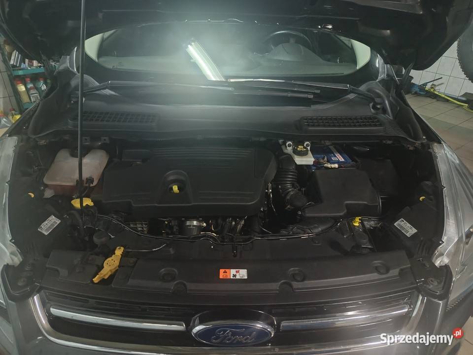 Ford Kuga 20TDCI 180 Sama Parkuje2016 Miechów-Charsznica