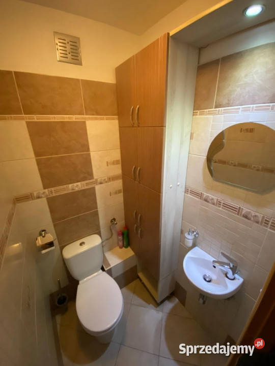 Do wynajęcia pokój w mieszkaniu 3 pokojowym 46m2 Wynajem Nieruchomości małopolskie