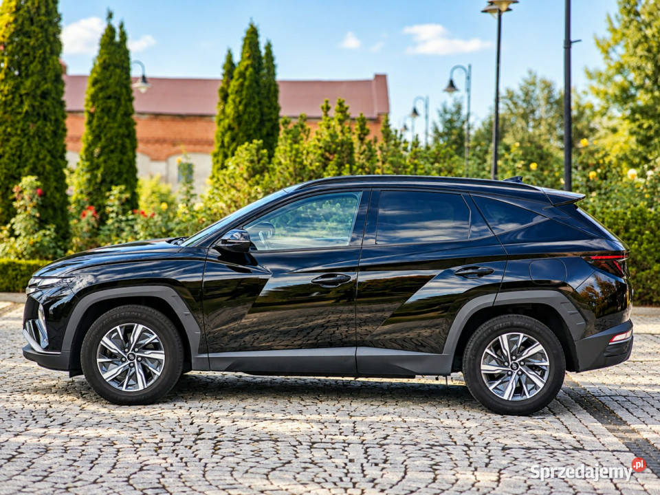 Hyundai Tucson IV 2020 lakier metallic Tucson Tucson Sadlno