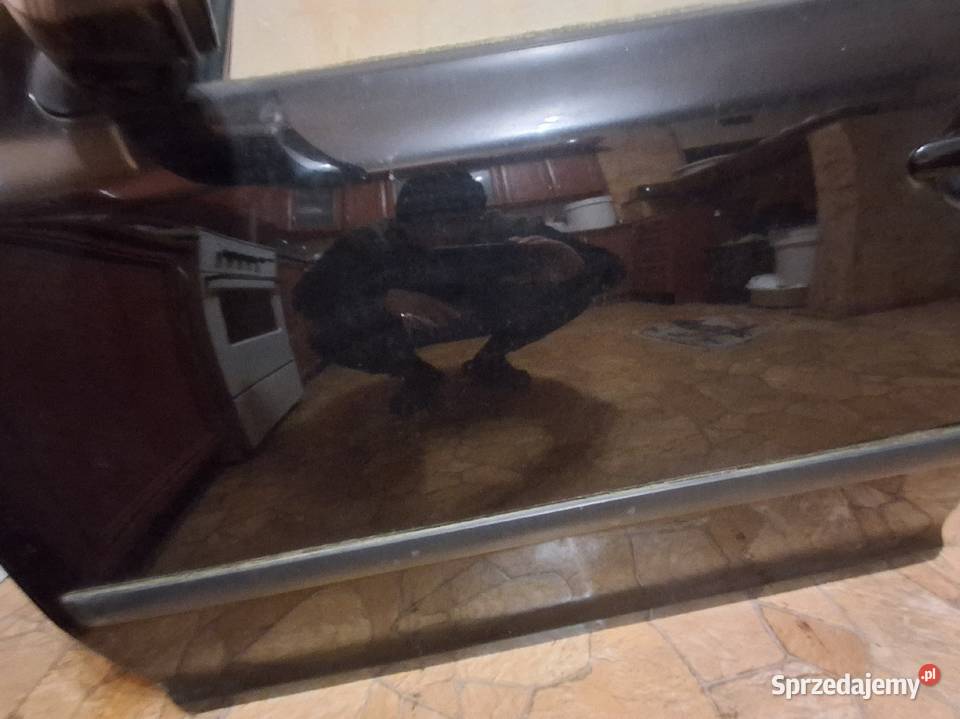 Skoda octawia II drzwi lewe lakieru 9910 mazowieckie Długa Kościelna