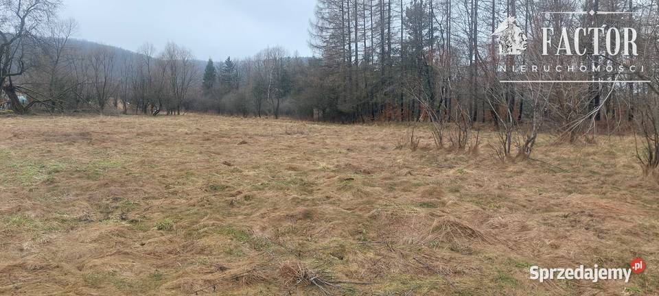 Działka budowlana 10 a Hańczowa gm Uście 33.5m
