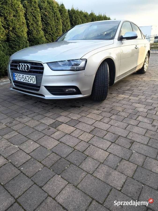 Audi a4 b8 Strzyżew