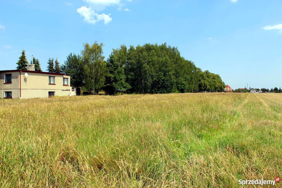 Działki k Opola na sprzedaż zamianę na Wawelno