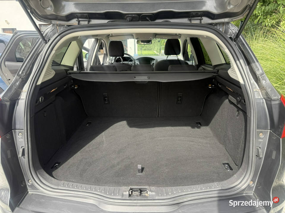 Ford Focus zadbany oryginalny przebieg 100 manualna Poznań