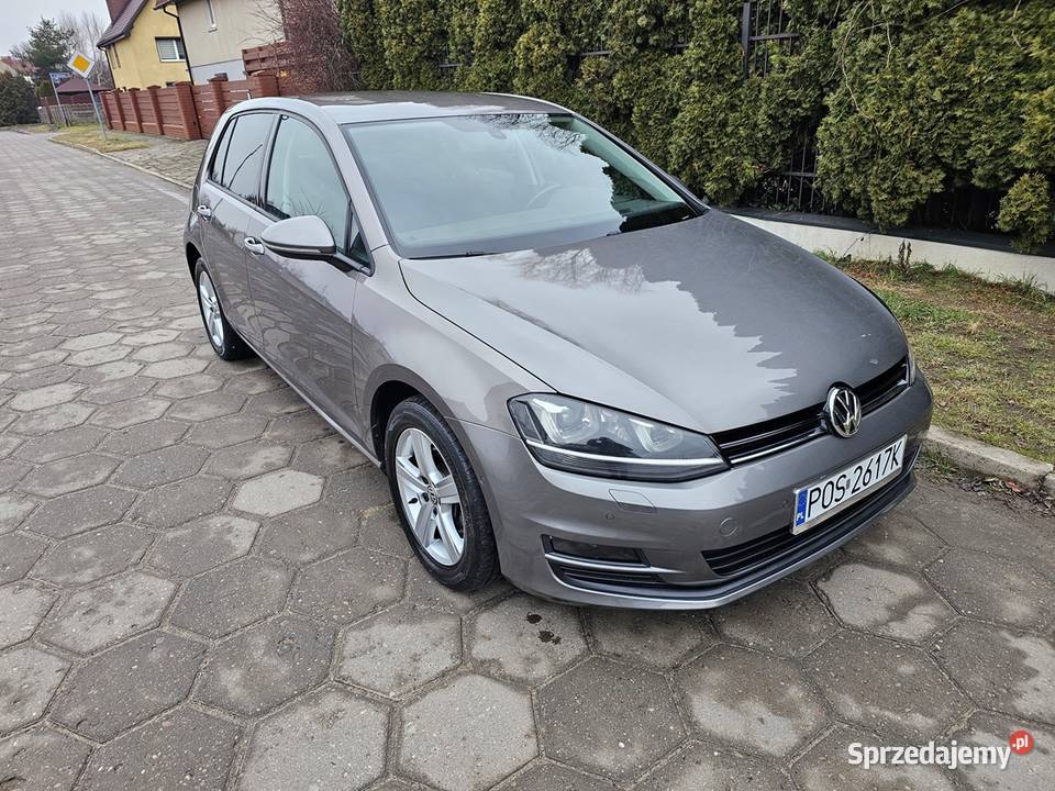 VW Golf VII 14 TSI 122 2013 r Zarej Bogate CD Ostrów Wielkopolski