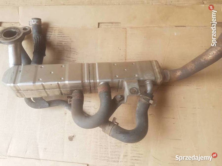 CHŁODNICA SPALIN EGR SUBARU 20 Diesel Bydgoszcz sprzedam