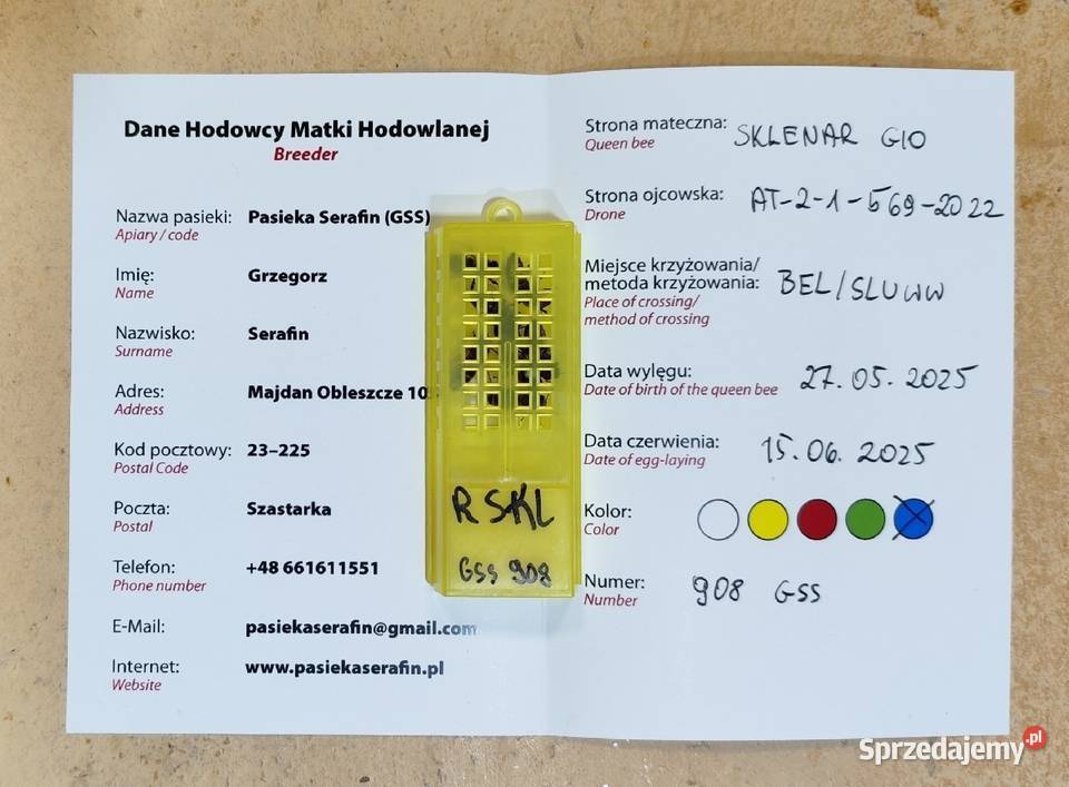 ręki Unasiennione matki pszczele car SKLENAR Pszczelarstwo Wolinia