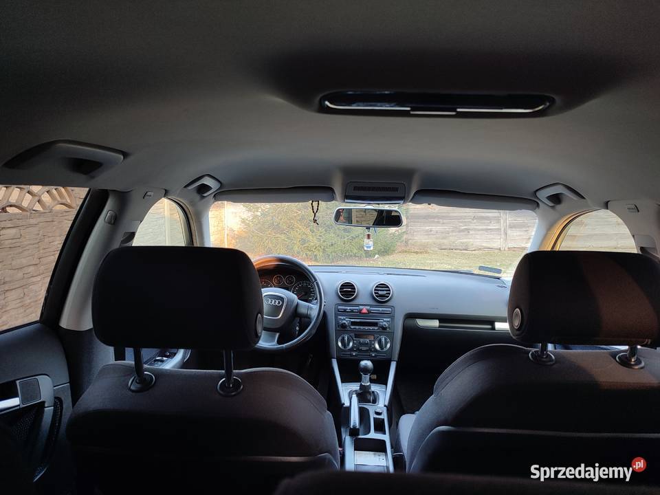 Audi A3 8p hatchback 20 TDI 140KM Dudki