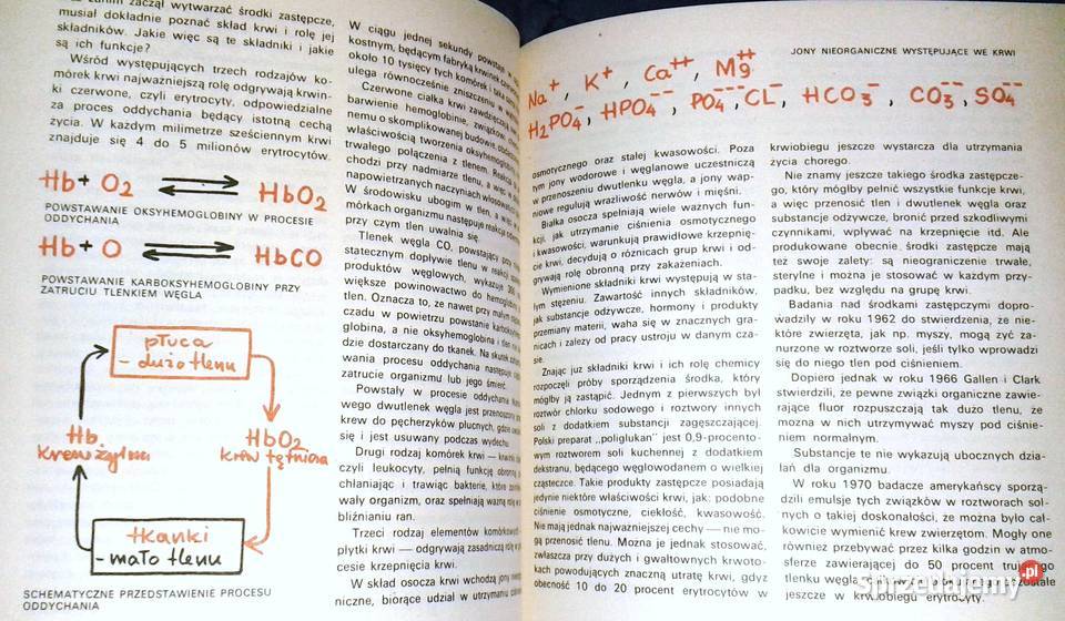 Człowiek i chemia Jerzy Stobiński miękka Kultura i Rozrywka lubelskie Chełm