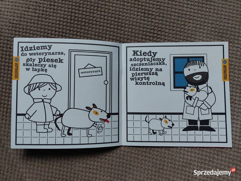 Piesek u lekarza Uta Dorczyk małopolskie Kraków