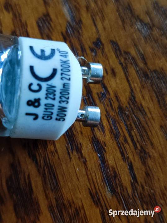 żarówka halogen reflektor led świetlówka lampka