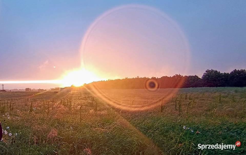 PRABUTY działki centrum natury i plaży rolna