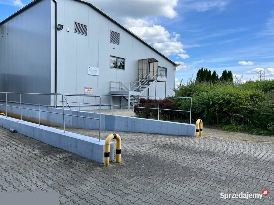 Hala produkcyjna z magazynami biurami i hotelem Czarnowice sprzedam