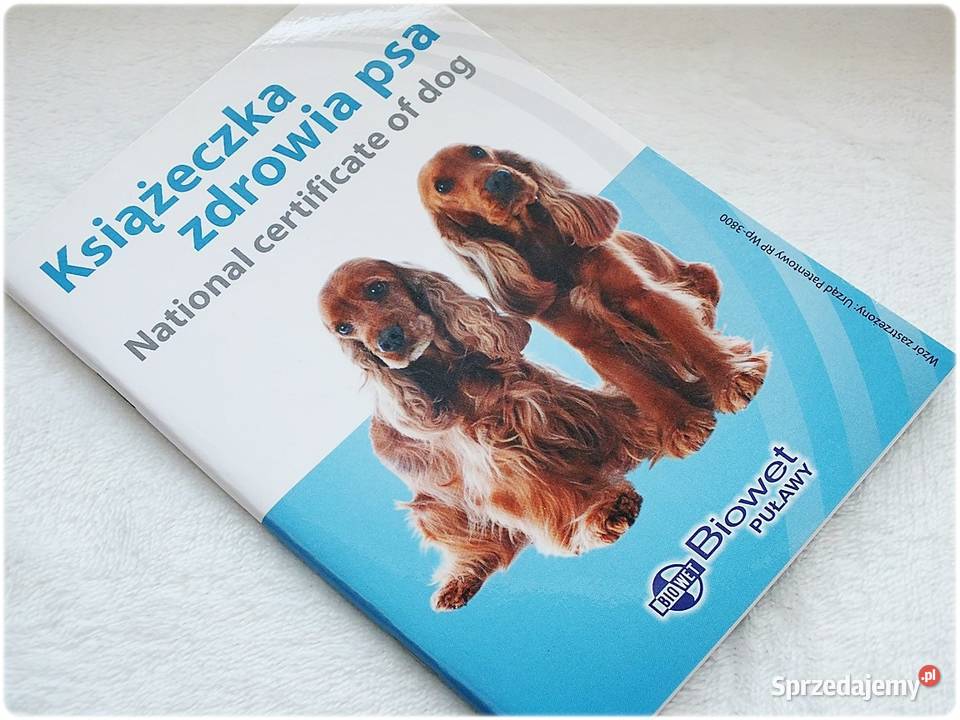 Książeczka Zdrowia Psa Cocker Spaniel rasy Lubsko