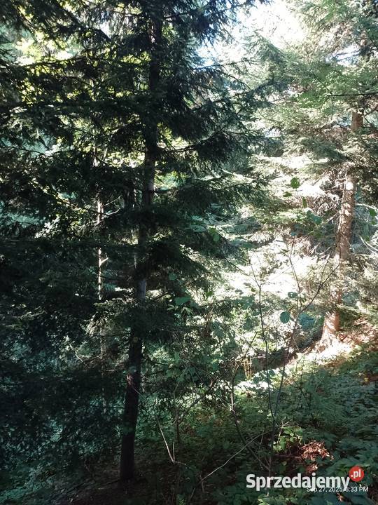 Działka budowlano leśna 6178m2 Zawada sprzedam