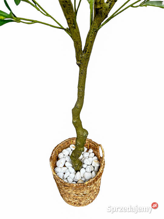 Sztuczne Drzewko Sztuczna Oliwka 180 190 Gliwice