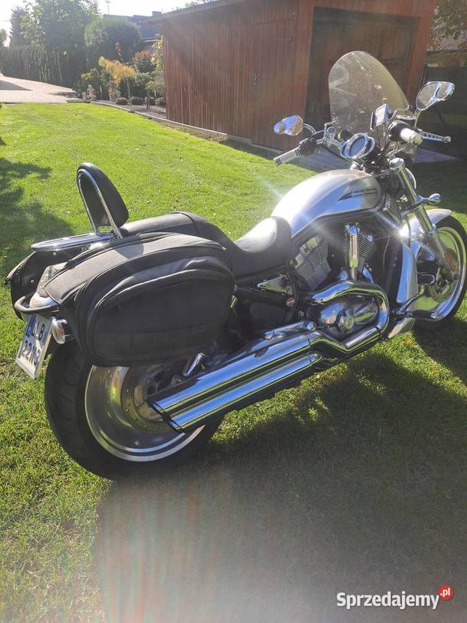 Harley davidson v rod Serniki