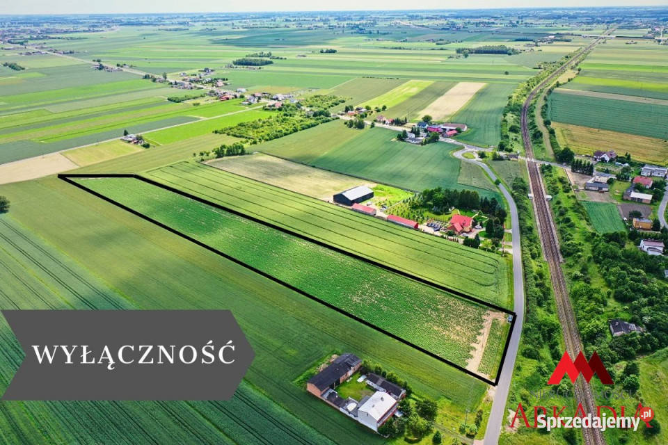 Do sprzedaży działka 23519 metrów Kowal rolna sprzedam