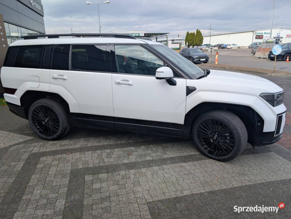 Caligraphy 16 TGDI HEV 6AT 4WD 6os Creamy White 215KM Kalisz