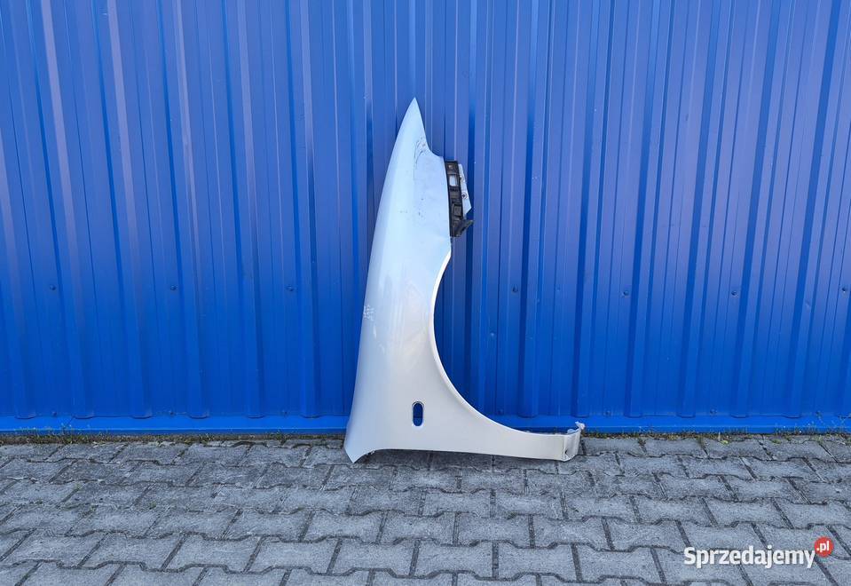 BŁOTNIK PRZÓD PRAWY SEAT LEON I 1 SEAT TOLEDO II świętokrzyskie Działoszyce