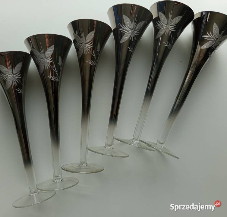 Kieliszki retro do szampana flety Vintage Silver podkarpackie Rymanów sprzedam