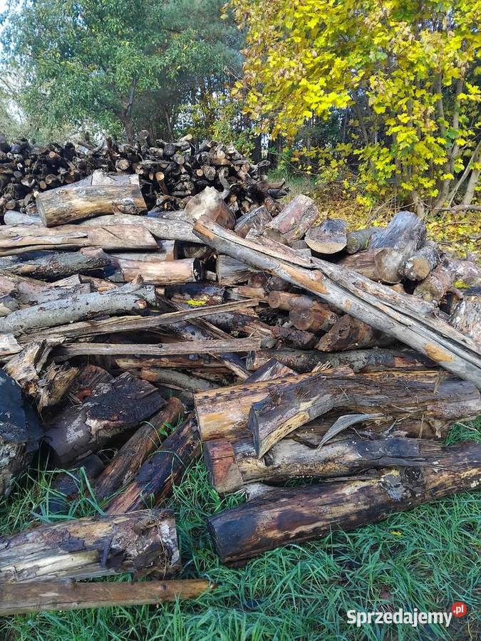 Drewno opalowe Wierzchowo