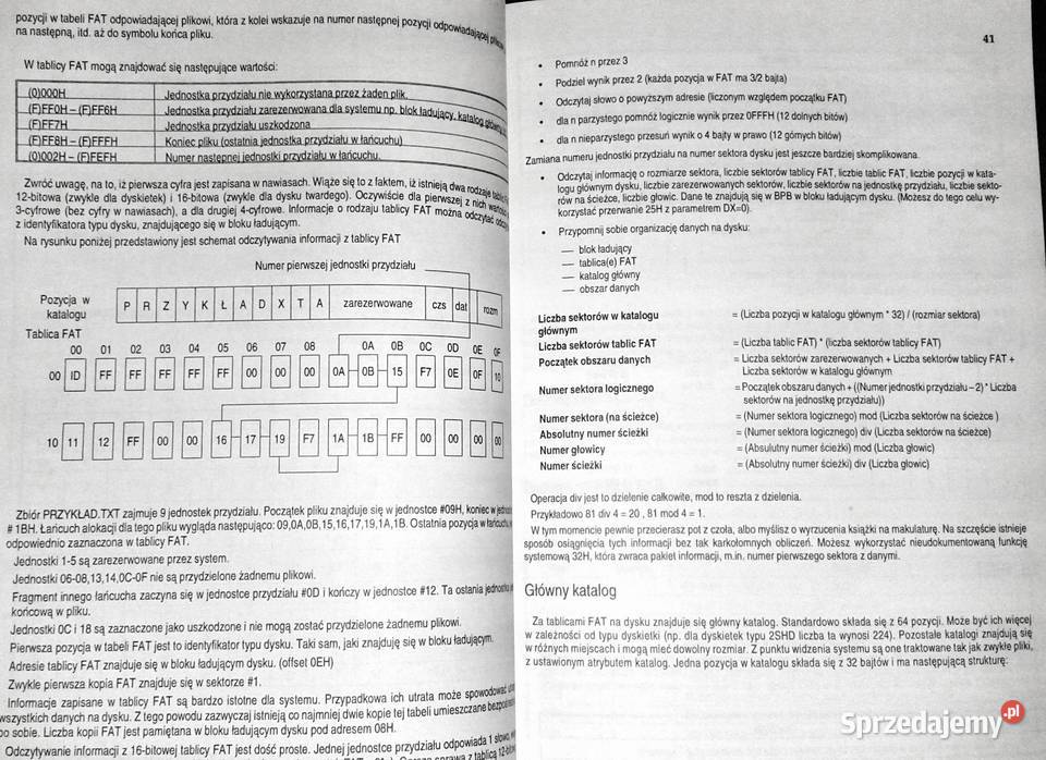 pisać wirusy Andrzej Dudek Chełm