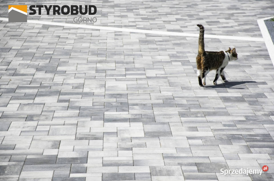 Nowość Kostka brukowa Styrobud RESTO 6 COLORMIX podkarpackie Górno