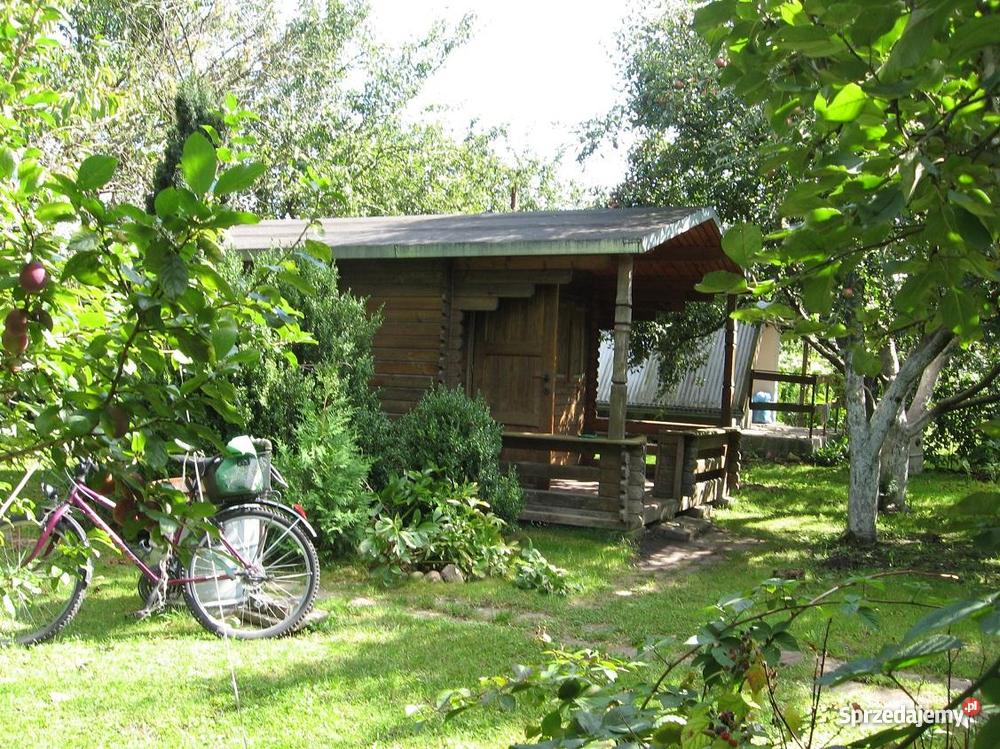 DZIAŁKĘ ogrodową z drewnianą altanką Chodzież