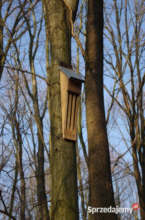 Budka nietoperzy szczelinowa rekomendowana OTON Ogród Brzeg