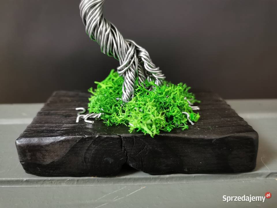 Zielone drzewko z chrobotkiem 13 Dekoracje i ozdoby Bolesławiec sprzedam